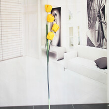 高枝 3头4头5头 郁金香 家居饰品 高卉装饰 3头花纹 (黄)