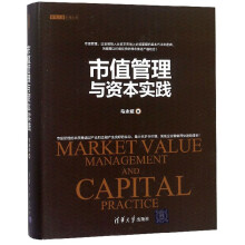 市值管理与资本实践/资本之道系列丛书