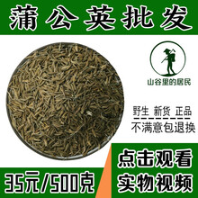 山谷里的居民  蒲公英种子 野菜婆婆丁种子  蒲公英种子 蒲公英种子5000粒