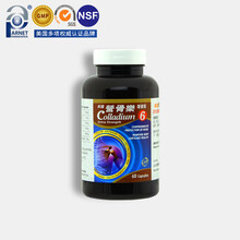 京东国际	
Colladium 6营骨乐 硫酸软骨素骨胶原蛋白软胶囊补钙镁中老年保健品 1瓶装60粒 含钙 镁 水解骨胶原 有机硫 软骨素 生姜粉