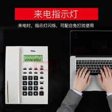 TCL办公电话机 HCD 79 家用座机坐式 时尚商务来电显示 免电池有绳固定电话 79白色双接口