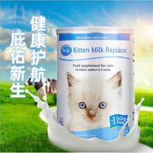 美国一号倍乐酷KMR贝克猫咪狗狗代乳粉幼猫幼犬专用孕猫补宠营养一段 猫用340g装