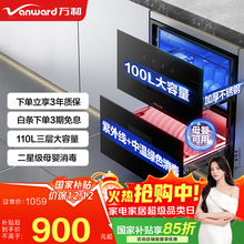 万和（Vanward）消毒柜 家用嵌入式 二星级母婴消毒 100L双层大容量 餐具碗筷茶具婴儿奶瓶消毒 ZTD100Q-D5  二星级 100L 嵌入式