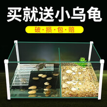 龟鱼混养缸乌龟缸高清玻璃生态鱼缸造景水族箱带晒背台鳄龟巴西龟金鱼饲养缸养龟专用缸爬宠用品 鱼缸中号（裸缸）