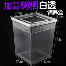 rep-shop爬虫爬宠饲养盒守宫蜥蜴蚕宝宝蝎子蜘蛛角蛙昆虫寄居蟹树栖饲养箱 白透树栖盒