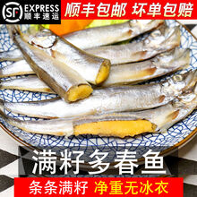 【顺丰速运】新鲜多春鱼满籽鲜活海鲜生鲜水产烧烤食材特大冷冻海鱼 米金船卡 3斤装