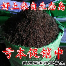 花泥营养土大包花有机肥料养花种花土种菜种植土多肉泥土花土 10斤全国