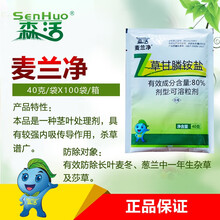 森活麦兰净麦冬除草剂防除麦冬葱兰中禾本科和阔叶杂草