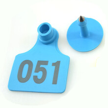 佳善 出口精品猪耳标母猪耳牌牌激光带字猪牌猪用耳标号标示牌养猪设备 蓝色100套精品带字猪耳标