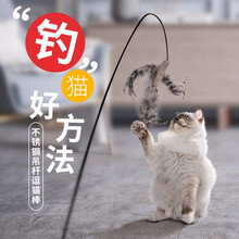 hoopet猫玩具自嗨逗猫棒钢丝逗猫棒羽毛耐咬长杆吸盘自动逗猫器小猫幼猫用品解闷自嗨神器猫咪玩具 逗猫棒+替换头*1