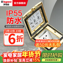 罗格朗地插座IP55黄铜盖板10A五孔隐藏式双层防水硅地面插（不含底盒）