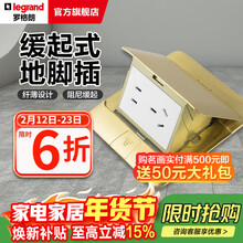 罗格朗（LEGRAND）地插座 黄铜阻尼液压缓弹式10A五孔地面插座隐藏地插（不含底盒）