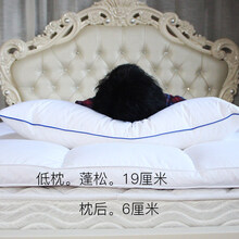 羽绒枕芯白鹅绒枕头五酒店枕芯单人护颈椎柔软成人枕头 单只低枕
