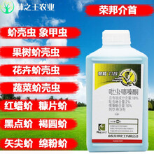 佳乐时介首蚧壳虫杀虫剂柑橘柿子果树花椒月季多肉植物吡虫啉噻嗪酮蚧必治 200克