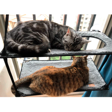 喵揣 美国KH猫吊床冬天吸盘式挂窝窗户吊床猫窝玻璃猫猫床秋千猫咪吊床 双层 M 中型