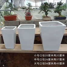 元井汇（YUANJINGHUI） 厂家直销 特大号花盆 落地高花盆 陶瓷花盆 发财树花盆 兰花盆 客 白色方口 大号