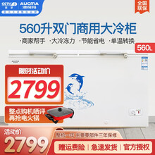 澳柯玛（AUCMA）560升大容量冷柜 商用冰柜单温冷藏冷冻双门卧式大冷柜家电BC/BD-560H
