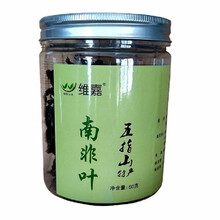 南非叶树苗马来西亚种苗插条老粗苗新鲜叶68元一斤全国包邮干叶茶100克48元 精品干叶全国包邮 南非叶茶60克一瓶