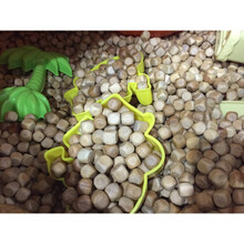 儿童玩的沙子颗粒游乐场小木粒扁柏木颗粒沙池木头荷柏木粒儿童沙池木块实木园决民子 10mm扁柏木1斤 约800粒