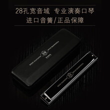 德国进口音簧天鹅28孔高端复音c调口琴高级成人专业重音演奏级琴 金色重音【有口琴基础推荐】