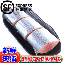 【顺丰速运】5斤大鲅鱼马鲛鱼新鲜鲜活冷冻鲅鱼段海鱼海鲜1斤惟纳德 【精品鲅鱼段】大号 五斤装