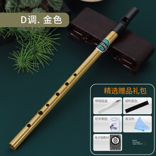 哨笛 初学者入门六孔竖笛C调D调高音直笛锡笛演奏乐器 金色拉丝：D调