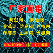 塑料养鸡网家禽养殖网天网拦鸡鸭网防护网菜园围栏网尼龙网汐岩 养鸡网1.2米高*30米长