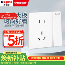 罗格朗（LEGRAND）开关插座面板 仕典系列玉兰白色86型暗装 五孔带开 插座