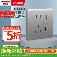 罗格朗简悦系列深砂银色家用86型微曲无边暗装磨砂质感清单报价 Type A+C USB充电插座
