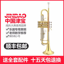津宝 小号 小号降B调漆金色JBTR-601小号乐队学校舞台演奏学生考级练习乐 红色