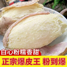 板栗红薯 冰淇淋红薯 白心地瓜 3斤番薯批发 爆粉王薯3斤【大果】高品质爆粉王