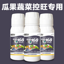 番茄西红柿辣椒茄子草莓西瓜专用控旺生长调节剂矮壮素膨大助壮素 100ml