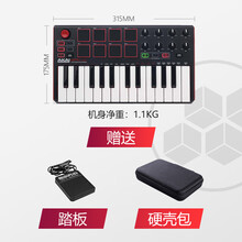 AKAI雅家MK2 3打击垫 25键MIDI便携控制器键盘 MPK Mini PLAY 品质定制款 普通版 + 踏板 + 硬壳包