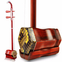 派尼美特成人红木二胡乐器 演奏级红花梨二胡手工蟒皮琴皮初学入门练习民族乐器 红木雕花款+锦盒+书+白马尾弓+双管调音器+微调器