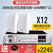 先科壁挂音响音箱室内无线蓝牙套装背景音乐公共广播商铺超市餐厅悬挂壁式天花吸顶服装奶茶店 300W五分区功放+20W壁挂12个（420平）