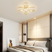 若朗卧室灯 简约现代吸顶灯北欧温馨浪漫花形灯具个性创意led房间灯 拉丝金 直径50cm 白光 40W