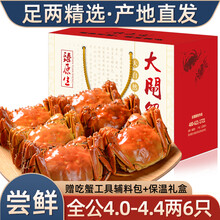 【活蟹】6只装臻原生阳澄湖六月黄大闸蟹鲜活螃蟹现货海鲜水产生鲜蟹类礼盒 全公蟹：4.0-4.4两（6只）
