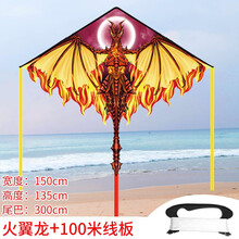 潍坊新款翼龙风筝成人大型恐龙风筝儿童微风易飞卡通风筝新手 火龙风筝+100米线板