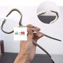 牛鼻子牵引扣 牛鼻钳子 牛鼻穿孔钳 大号牛鼻环钳子兽用 牛鼻夹子 牛鼻穿孔钳