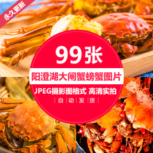 大闸蟹螃蟹香辣蟹清蒸蟹高清摄影图片大排档美团外卖图片海报宣传