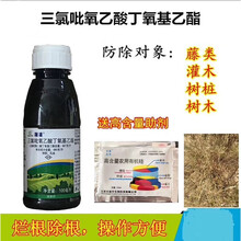 盖灌能480克/升三氯吡氧乙酸灌木阔叶杂草除草剂 100ml