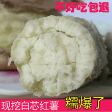 [商南助农馆]2021新鲜农家自种白芯红薯地瓜板栗香 2.5kg小果