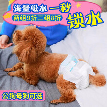 hoopet狗狗生理裤纸尿裤泰迪柯基贵宾姨妈巾卫生母狗防交配专用尿不湿 纸尿裤（公） S-建议3-7斤