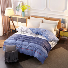 茧妃家纺 全棉被套单件 单人双人纯棉被罩床上用品 青春如歌 220x240cm被套单件