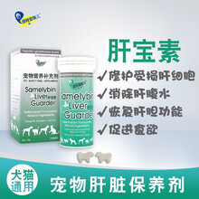 |湃特安琪儿/安琪儿肝宝素40粒 修复受损肝细胞 恢复肝功能肝硬化