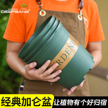 DEEPBANG 加厚特大加仑盆军绿色矮胖加仑盆塑料种植家用大花盆多肉种树 【2个装】1号加仑盆（带托盘）（口径16cm）