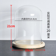手办Molly玻璃罩茉莉娃娃收纳盒盲盒亚克力popmart泡泡马特展示盒 泡泡马特收纳盒玻璃罩 15*21cm 原木底座+玻璃罩