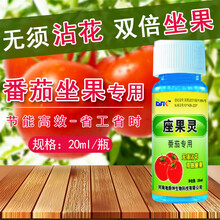 西瓜甜瓜哈密瓜南瓜香瓜人工授粉增坐瓜果灵保花保果防落素精华液 番茄坐果买七送一包邮