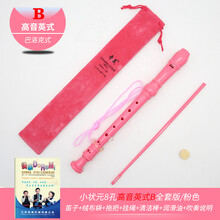 奇美中音竖笛8孔学生专用小学生英式竖笛木笛初学者儿童高音字母巴洛克式用八孔初学课堂乐器蓝色黑色红 高音英式8孔小状元-玫红(巴洛克式)QM8A-13