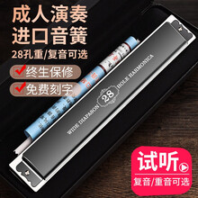 德国进口音簧口琴高级成人专业演奏级重音28孔调复音初学者学生入门 28孔黑色复音【送礼品】